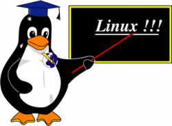 beginner at linux